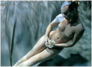 kalender thomas kettner